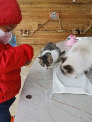 -萌宠亲子动物乐园(槐房万达店)