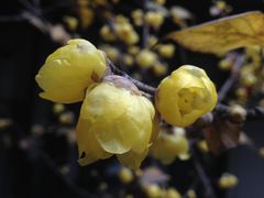 -不倒翁·徽天下名菜楼(马鞍山路店)