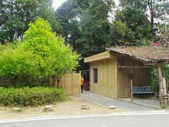 -广州市流溪河国家森林公园