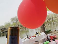 -东郊湿地公园