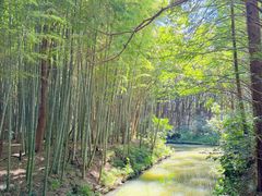 -同里国家湿地公园