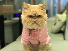 -小时光咖啡馆(开森度假森林店)