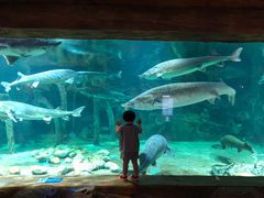 -华夏文旅海洋公园