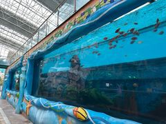 -望儿山温泉水乐园