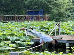 -海合安武汉极地海洋公园