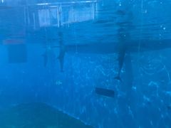 -福州罗源湾海洋世界旅游区