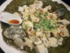 -梧桐花园餐厅(新城店)