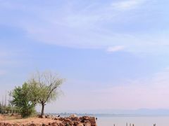 -捞渔河湿地公园