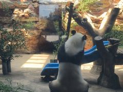 -石家庄市动物园