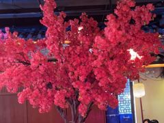 -探花·意境江南菜·唐伯虎文化体验店·松鼠桂鱼(观前店)