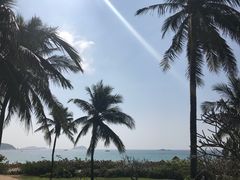 -三亚亚龙湾天域度假酒店