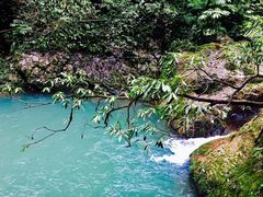 -瓦屋山景区