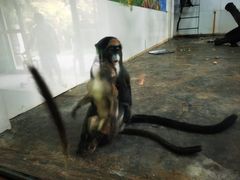 -西安秦岭野生动物园