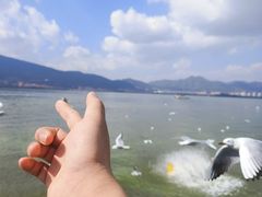 -海埂大坝