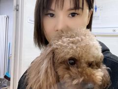 -北京佳信宠物医院