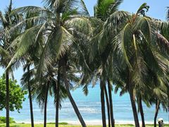 -日落吧·海景咖啡厅·餐酒吧·鸡尾酒·下午茶·乐队表演·浪漫夕阳·三亚文华东方酒店