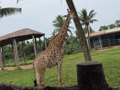 -海南热带野生动植物园