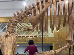 -FAIRYLAND龙族星球主题餐厅(凯丹广场店)