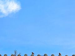 -赵州桥景区