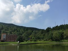 -武陵山森林公园