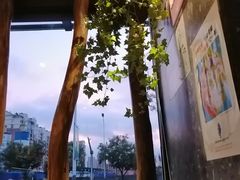 -金掌勺东北菜(格兰晴天店)