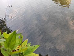 -四海公园(南山区)