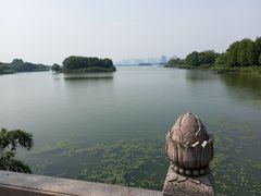 -长广溪湿地公园