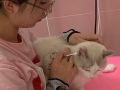 -猫苑生活馆