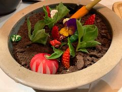 盆景色拉-荟廷·晶萃(陆家嘴尚悦湾店)
