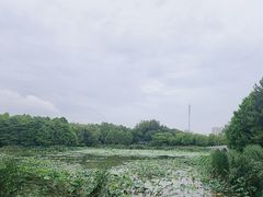 -苏州东太湖生态园