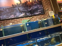 水产区-姜君·千岛湖鱼头馆(浦东大道店)