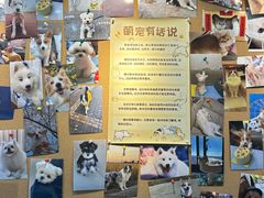 -翊宠yipet猫狗购宠庄园犬舍•猫舍