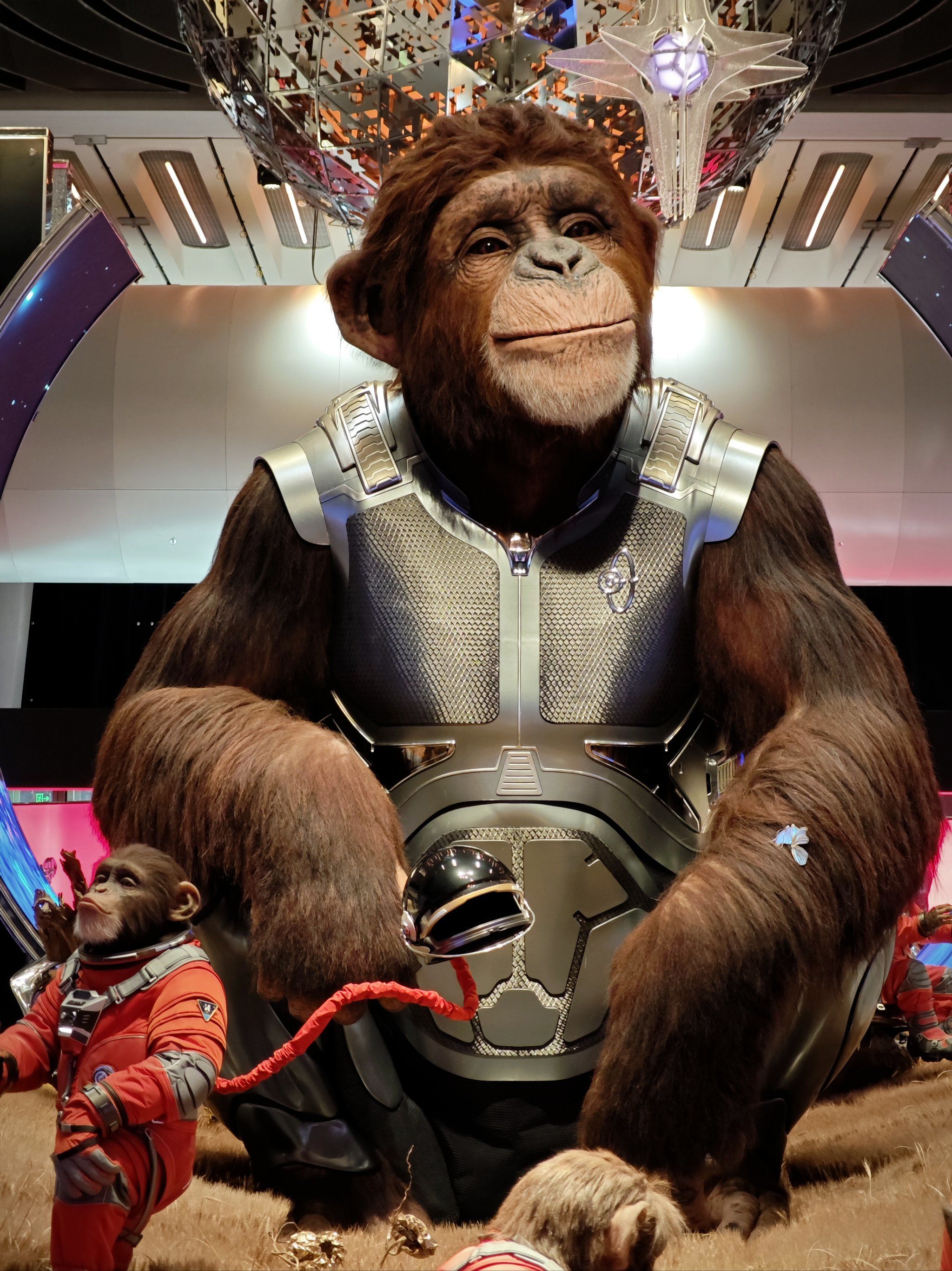 每次来skp都会被这个猩猩硬控10秒