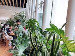 -Seesaw Coffee(朝阳大悦城店)