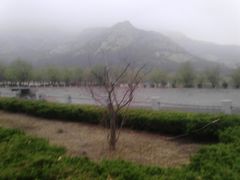 -天马岛度假区