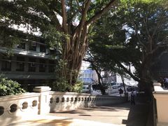 -香港佐治五世纪念公园