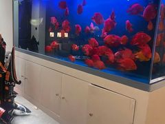-宫七SPA·高端Massage(浦东大道店)