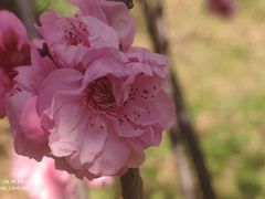 -贵阳市花溪国家城市湿地公园