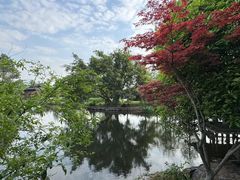 -三垟湿地