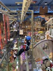 -卡通尼·Safari非洲探索乐园·生日会(金桥国际商业广场店)