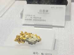 -湖南省地质博物馆