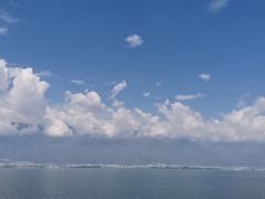 -马帮菜馆·美味野生菌