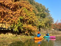 -上海海湾国家森林公园