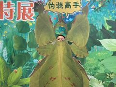 -上海昆虫博物馆