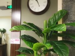 -东方大班·足道·采耳·疗愈SPA(丽都店)