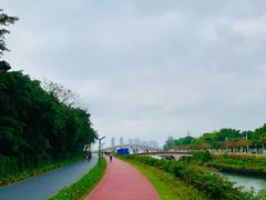 -万绿园