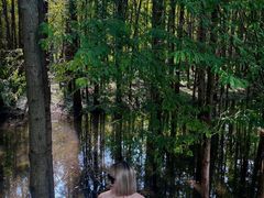 -桤木河湿地公园