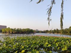 -济南大明湖景区