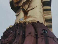 -大金鹰园