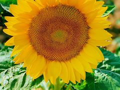 -艾溪湖湿地公园